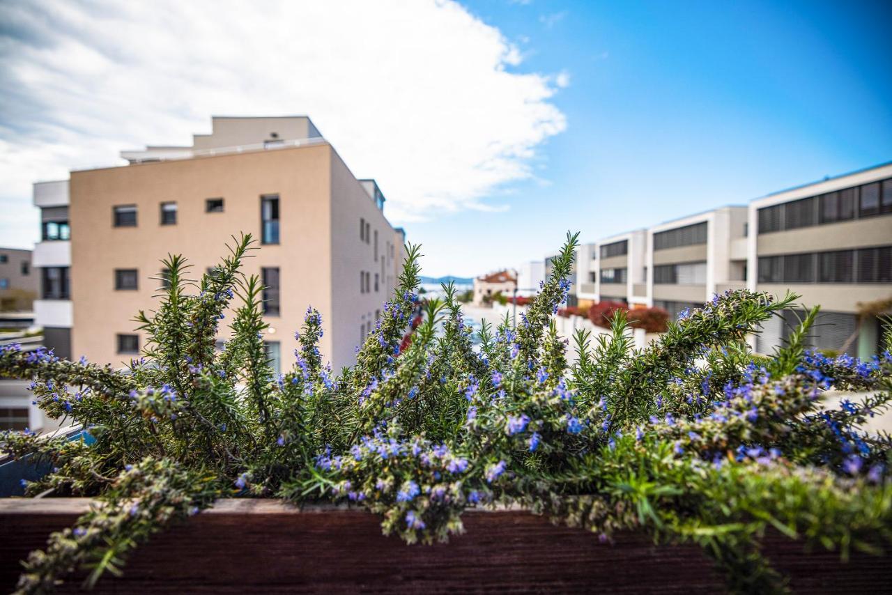 Ika Boutique Luxury Apartments Zadar Eksteriør billede